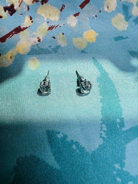 Glass Silver Stud Earrings